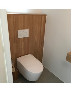 Mizubath - Toilette japonaise suspendu